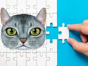 Abyssinian Puzzle Problem