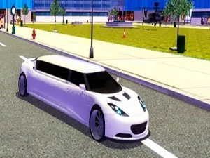 Large Metropolis Limo Automobile Driving Recreation