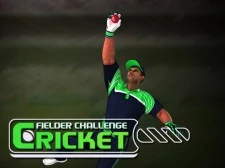 Cricket Fielder Problem Recreation