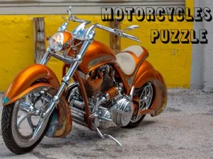 Bikes Puzzle