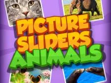 Image Slider Animals