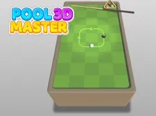 Pool Grasp 3D