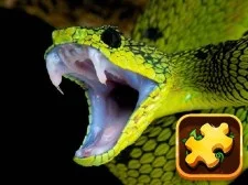 Snake Puzzle Problem