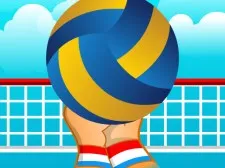 Volleyball Sport Recreation